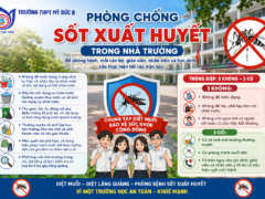 BÀI TUYÊN TRUYỀN PHÒNG, CHỐNG SỐT XUẤT HUYẾT TRONG TRƯỜNG HỌC.